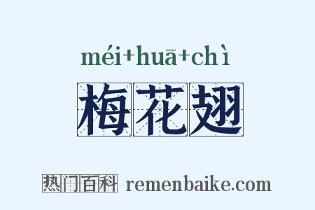 梅花翅是什么意思的图片